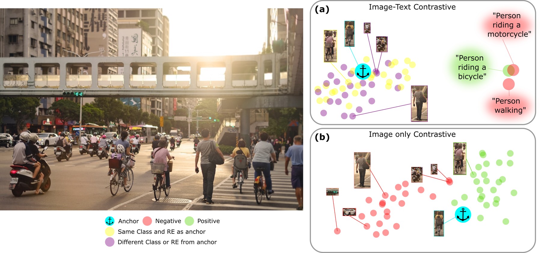 Left: a street scene with people walking, riding bicycles and riding motorcycles. Right: (a) image-text contrastive learning, where visual tokens for different referring expressions stay entangled; (b) image-only contrastive learning, where positives form a compact green cluster clearly separated from red negatives.